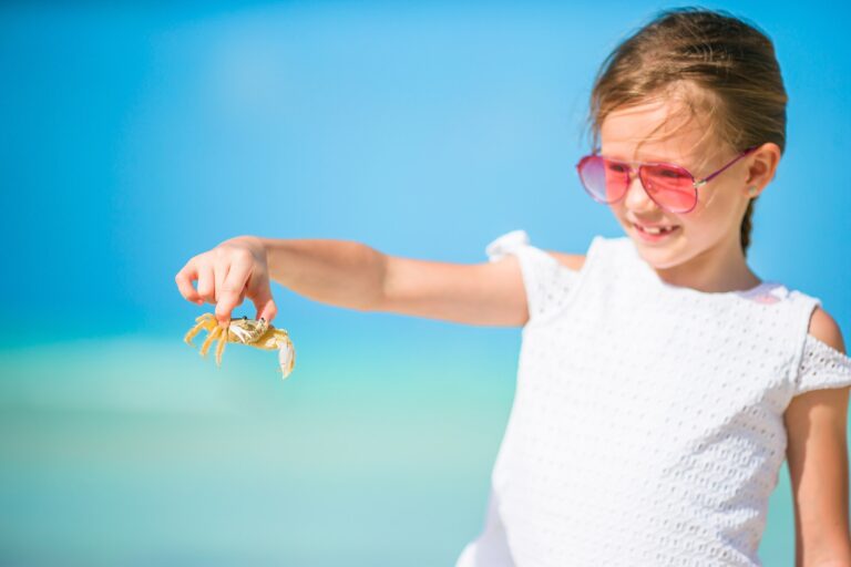 Adorable little girl holding crab on the beach