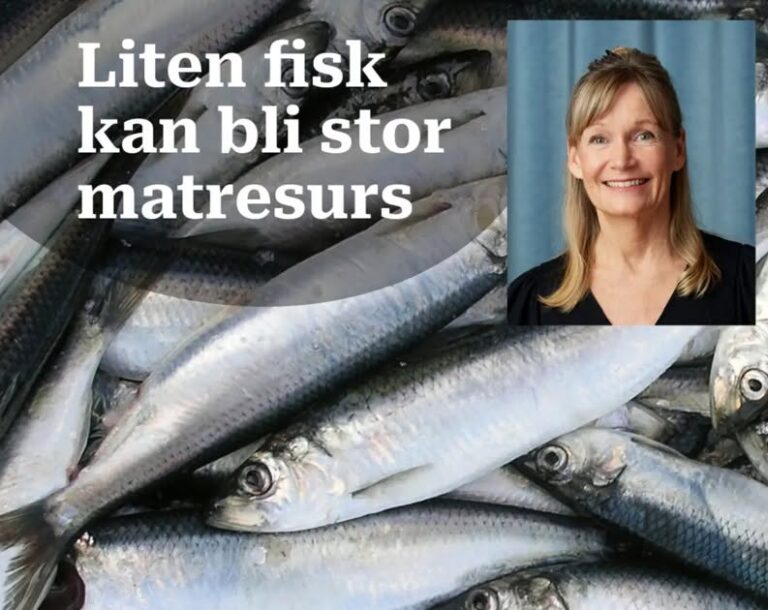 Föreläsning: Sillicon valley – en nod för framtidens mat från havet